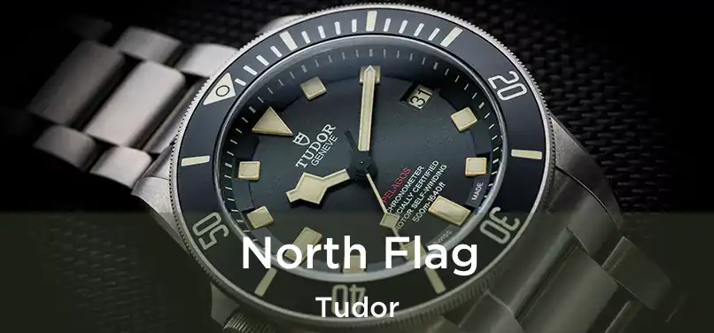  North Flag Tudor